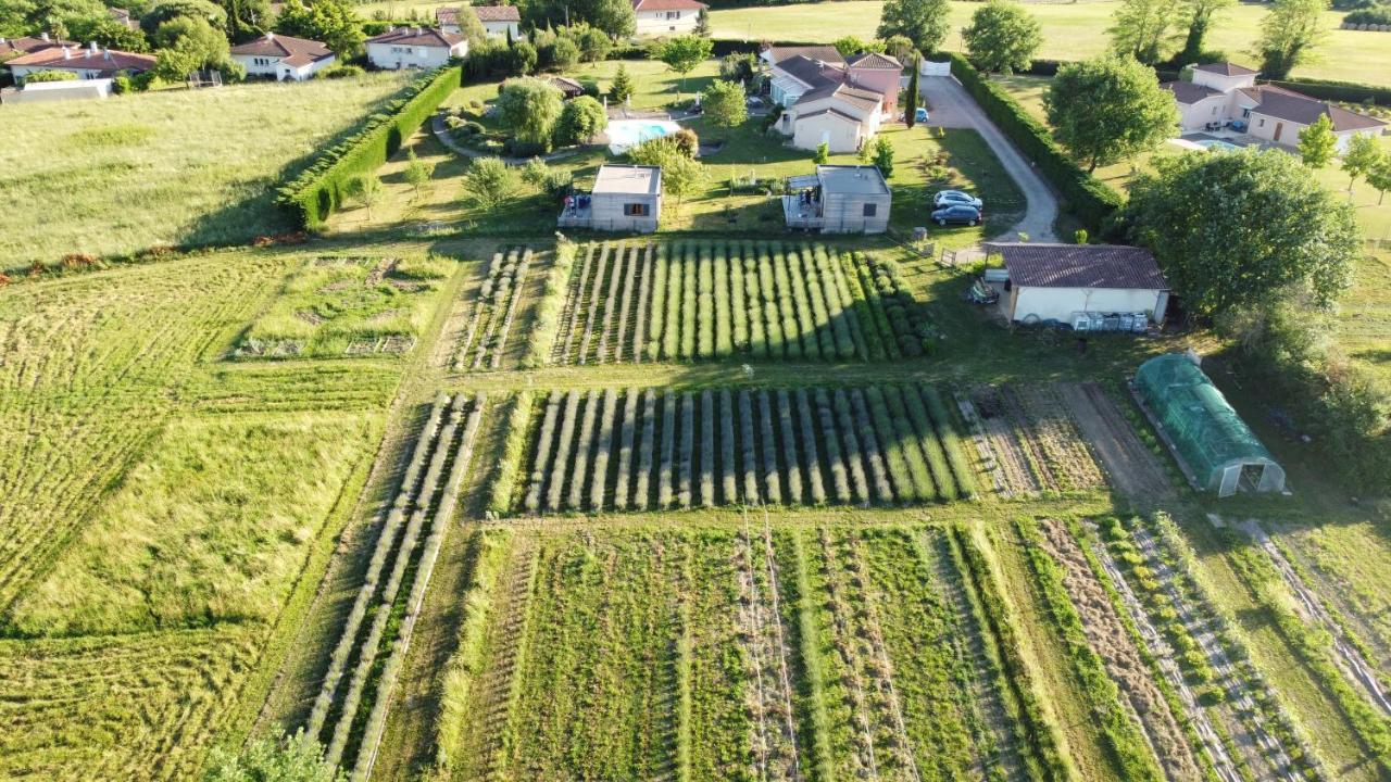 Domaine D'Elusa Vic-Fezensac Exterior photo
